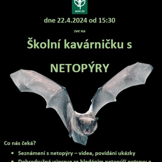 netopýři